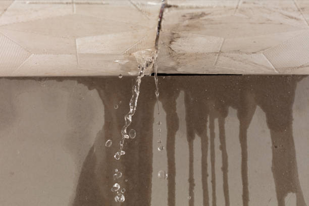 Professional Structural Drying technician working in South Bloomingville, OH
